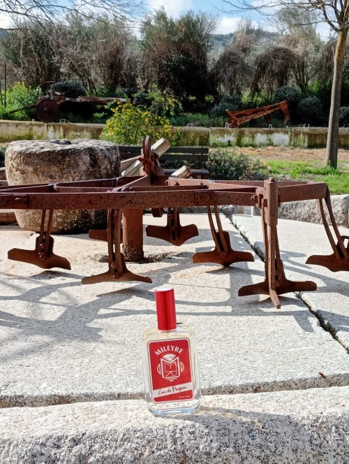 154. Teca Wood