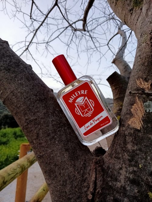 146. Pomegranate Blossom