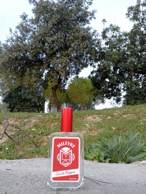 0076. Rosa & Musk