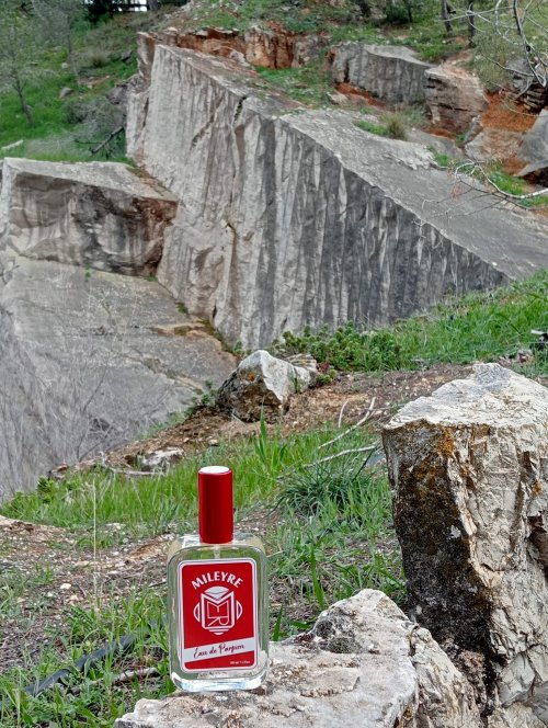 0133.Black sea cherry