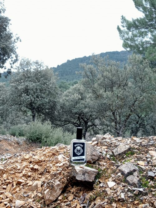 2006. DEEP VETIVER