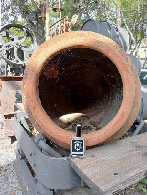 0220. Sandalwood