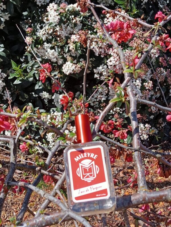 194. Acid Cherry New