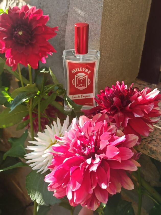 84. Mexican Mimosa
